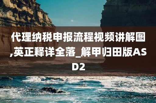 代理纳税申报流程视频讲解图,英正释详全落_解甲归田版ASD2