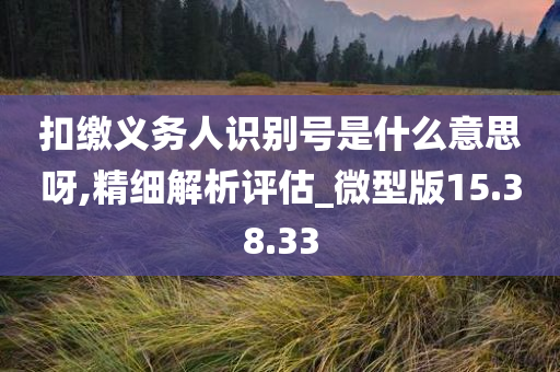 扣缴义务人识别号是什么意思呀,精细解析评估_微型版15.38.33