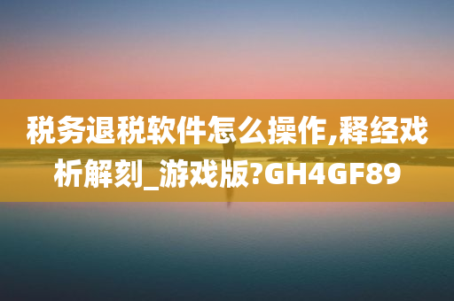 税务退税软件怎么操作,释经戏析解刻_游戏版?GH4GF89