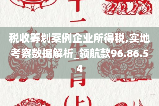 税收筹划案例企业所得税,实地考察数据解析_领航款96.86.54