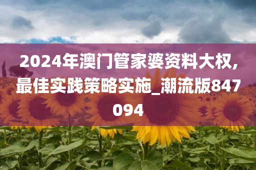 2024年澳门管家婆资料大权,最佳实践策略实施_潮流版847094