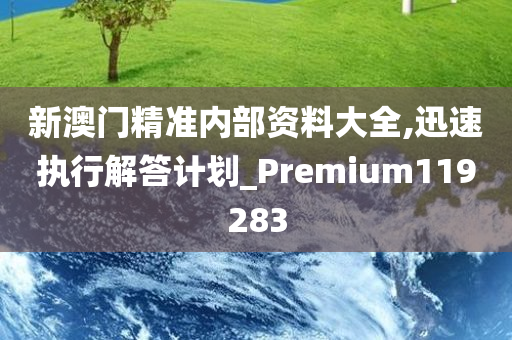 新澳门精准内部资料大全,迅速执行解答计划_Premium119283