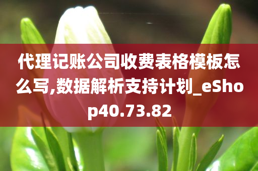 代理记账公司收费表格模板怎么写,数据解析支持计划_eShop40.73.82