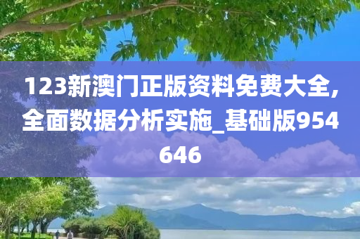 123新澳门正版资料免费大全,全面数据分析实施_基础版954646