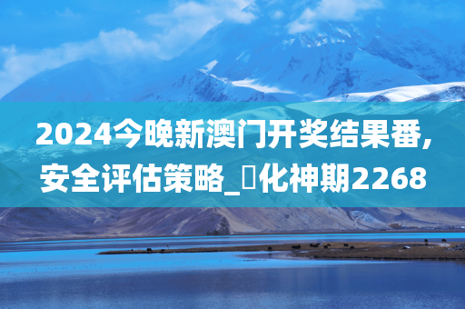 2024今晚新澳门开奖结果番,安全评估策略_‌化神期2268