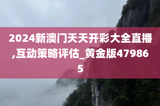 2024新澳门天天开彩大全直播,互动策略评估_黄金版479865