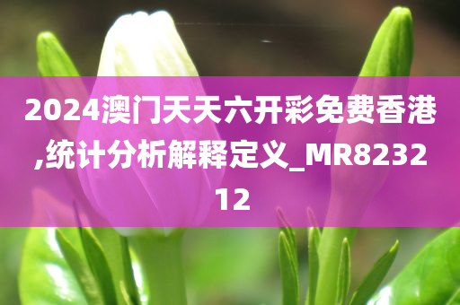 2024澳门天天六开彩免费香港,统计分析解释定义_MR823212