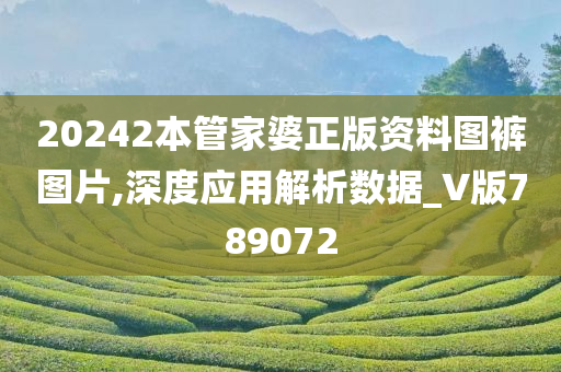 20242本管家婆正版资料图裤图片,深度应用解析数据_V版789072