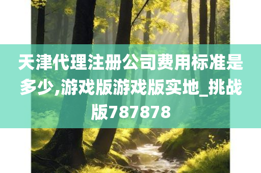 天津代理注册公司费用标准是多少,游戏版游戏版实地_挑战版787878