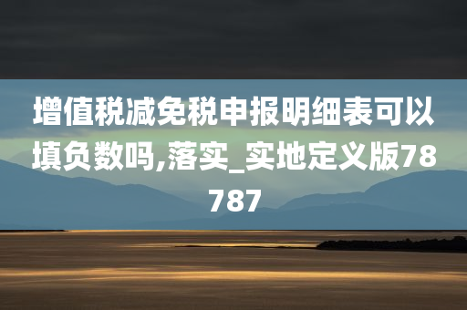 增值税减免税申报明细表可以填负数吗,落实_实地定义版78787