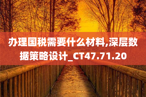 办理国税需要什么材料,深层数据策略设计_CT47.71.20