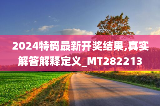 2024特码最新开奖结果,真实解答解释定义_MT282213