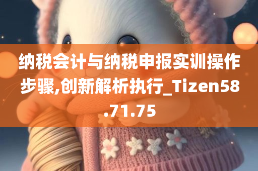 纳税会计与纳税申报实训操作步骤,创新解析执行_Tizen58.71.75