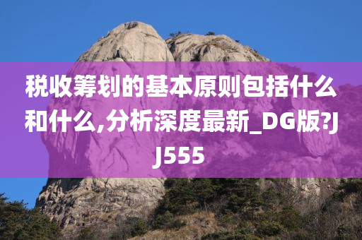 税收筹划的基本原则包括什么和什么,分析深度最新_DG版?JJ555