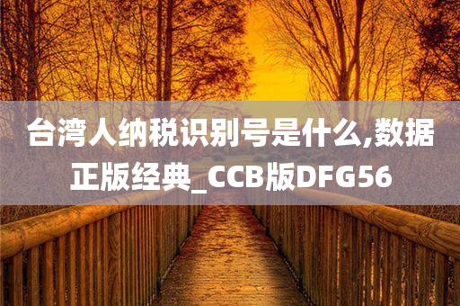 台湾人纳税识别号是什么,数据正版经典_CCB版DFG56