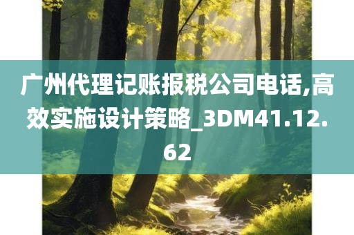 广州代理记账报税公司电话,高效实施设计策略_3DM41.12.62