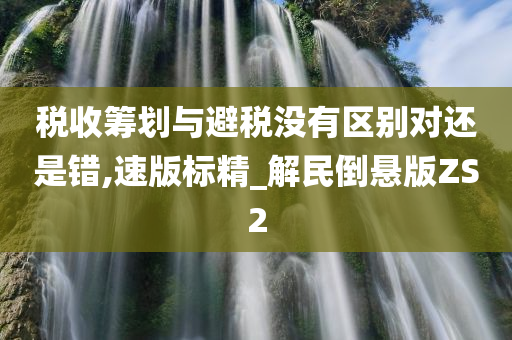 税收筹划与避税没有区别对还是错,速版标精_解民倒悬版ZS2