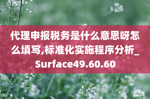 代理申报税务是什么意思呀怎么填写,标准化实施程序分析_Surface49.60.60