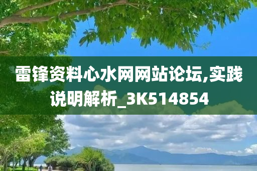 雷锋资料心水网网站论坛,实践说明解析_3K514854