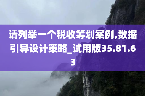 请列举一个税收筹划案例,数据引导设计策略_试用版35.81.63