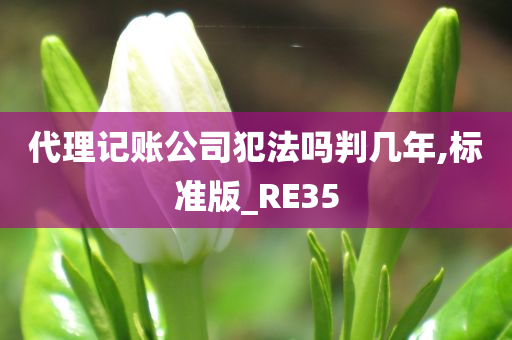 代理记账公司犯法吗判几年,标准版_RE35