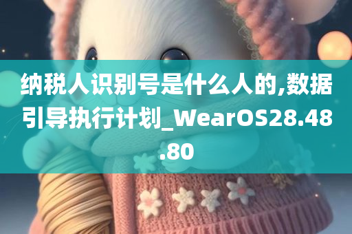 纳税人识别号是什么人的,数据引导执行计划_WearOS28.48.80