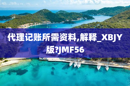 代理记账所需资料,解释_XBJY版?JMF56