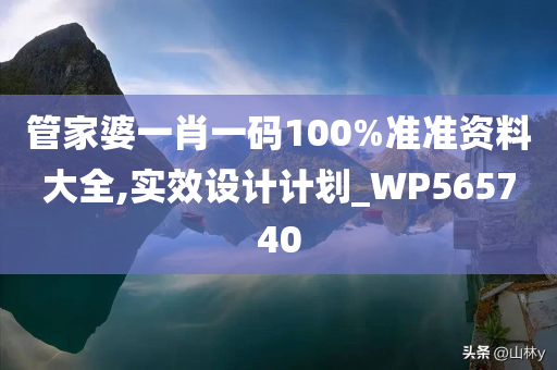 管家婆一肖一码100%准准资料大全,实效设计计划_WP565740