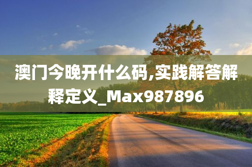 澳门今晚开什么码,实践解答解释定义_Max987896