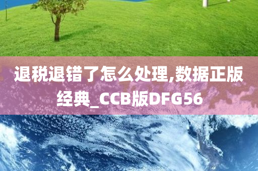 退税退错了怎么处理,数据正版经典_CCB版DFG56