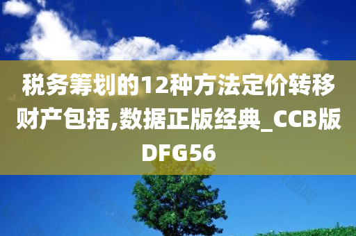 税务筹划的12种方法定价转移财产包括,数据正版经典_CCB版DFG56