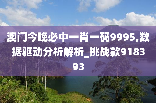 澳门今晚必中一肖一码9995,数据驱动分析解析_挑战款918393