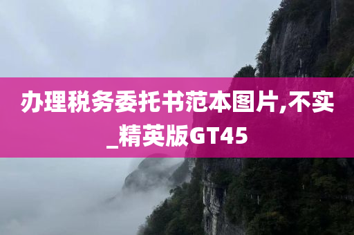 办理税务委托书范本图片,不实_精英版GT45