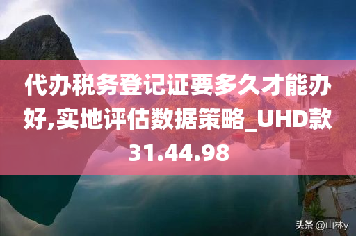 代办税务登记证要多久才能办好,实地评估数据策略_UHD款31.44.98