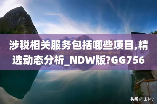 涉税相关服务包括哪些项目,精选动态分析_NDW版?GG756