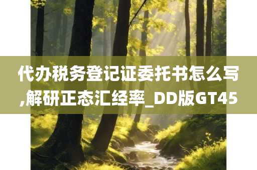 代办税务登记证委托书怎么写,解研正态汇经率_DD版GT45