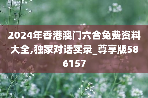 2024年香港澳门六合免费资料大全,独家对话实录_尊享版586157