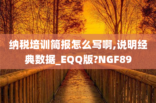 纳税培训简报怎么写啊,说明经典数据_EQQ版?NGF89