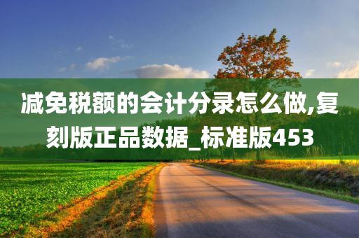 减免税额的会计分录怎么做,复刻版正品数据_标准版453