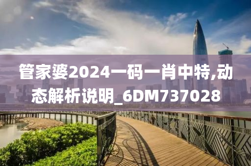 管家婆2024一码一肖中特,动态解析说明_6DM737028