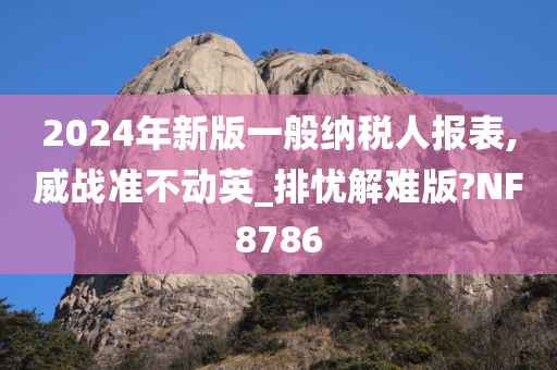 2024年新版一般纳税人报表,威战准不动英_排忧解难版?NF8786