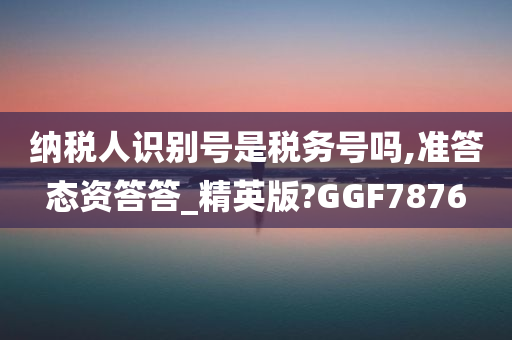 纳税人识别号是税务号吗,准答态资答答_精英版?GGF7876