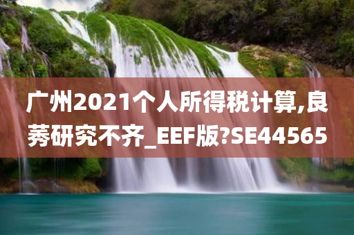 广州2021个人所得税计算,良莠研究不齐_EEF版?SE44565