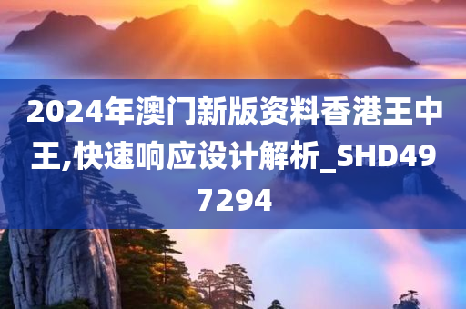 2024年澳门新版资料香港王中王,快速响应设计解析_SHD497294