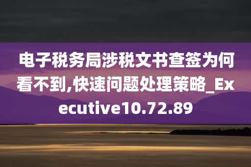 电子税务局涉税文书查签为何看不到,快速问题处理策略_Executive10.72.89