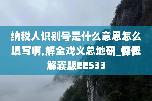 纳税人识别号是什么意思怎么填写啊,解全戏义总地研_慷慨解囊版EE533