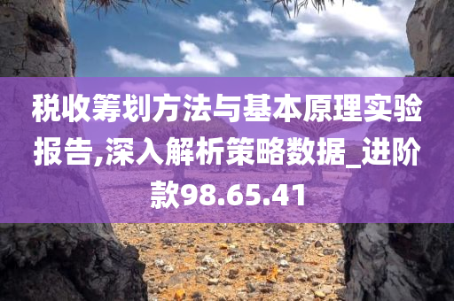 税收筹划方法与基本原理实验报告,深入解析策略数据_进阶款98.65.41