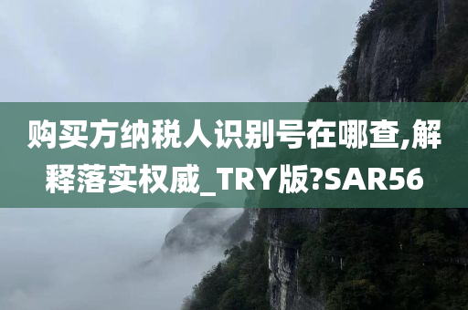 购买方纳税人识别号在哪查,解释落实权威_TRY版?SAR56