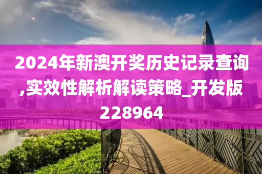 2024年新澳开奖历史记录查询,实效性解析解读策略_开发版228964