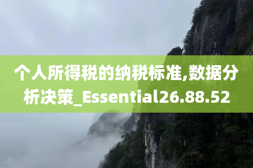 个人所得税的纳税标准,数据分析决策_Essential26.88.52